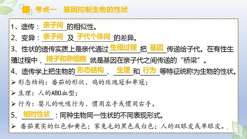 （通用版）中考生物一轮复习精讲课件专题20 生物的遗传和变异（含答案）第3页