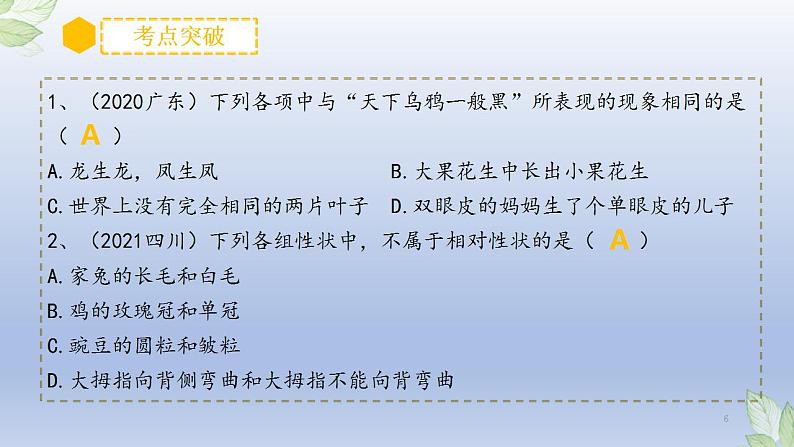 （通用版）中考生物一轮复习精讲课件专题20 生物的遗传和变异（含答案）第6页