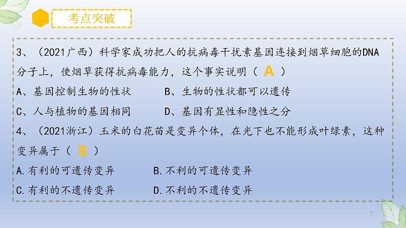 （通用版）中考生物一轮复习精讲课件专题20 生物的遗传和变异（含答案）第7页