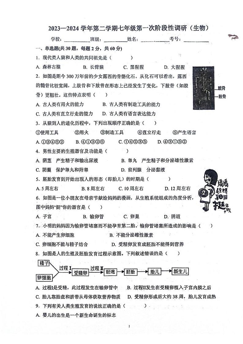 河北省沧州市青县第二中学2023-2024学年七年级下学期3月月考生物试题第1页
