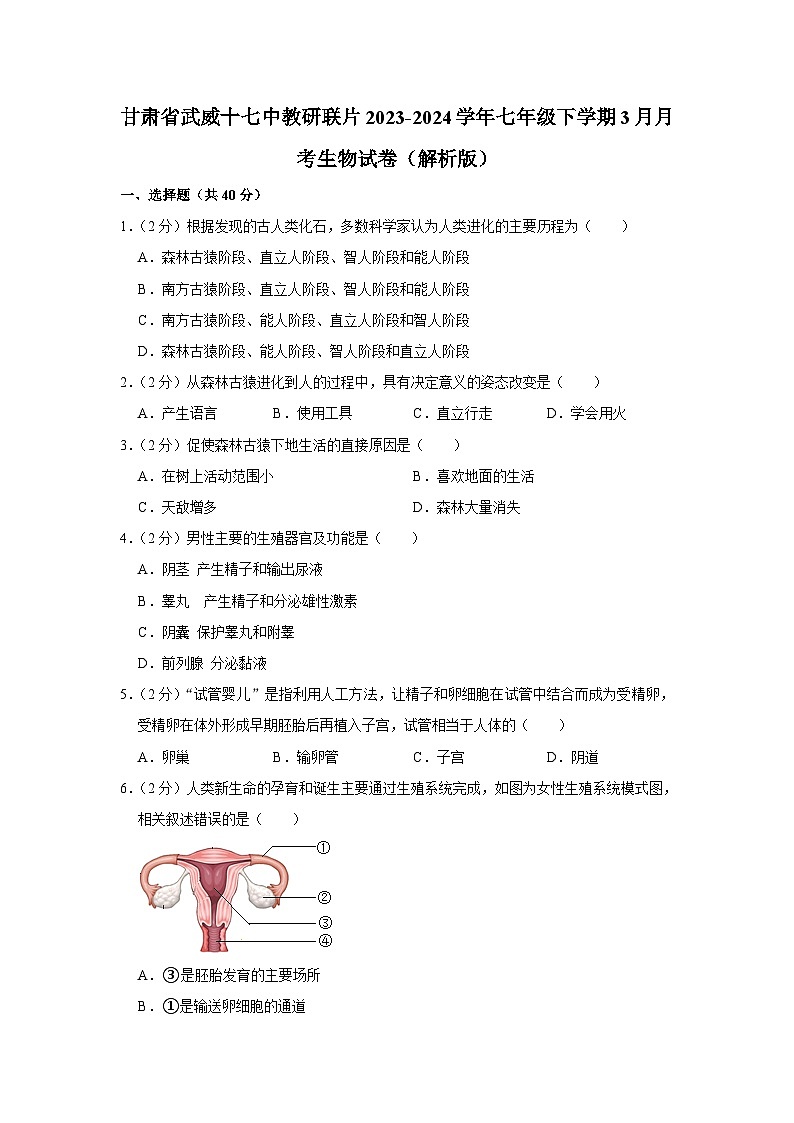 甘肃省武威十七中教研联片2023-2024学年七年级下学期3月月考生物试卷+01