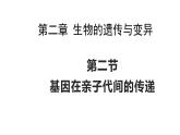 7.2.2基因在亲子代间的传递课件2023--2024学年人教版生物八年级下册