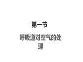 4.3.1呼吸道对空气的处理课件2023--2024学年人教版生物七年级下册