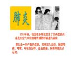 4.3.1呼吸道对空气的处理课件2023--2024学年人教版生物七年级下册