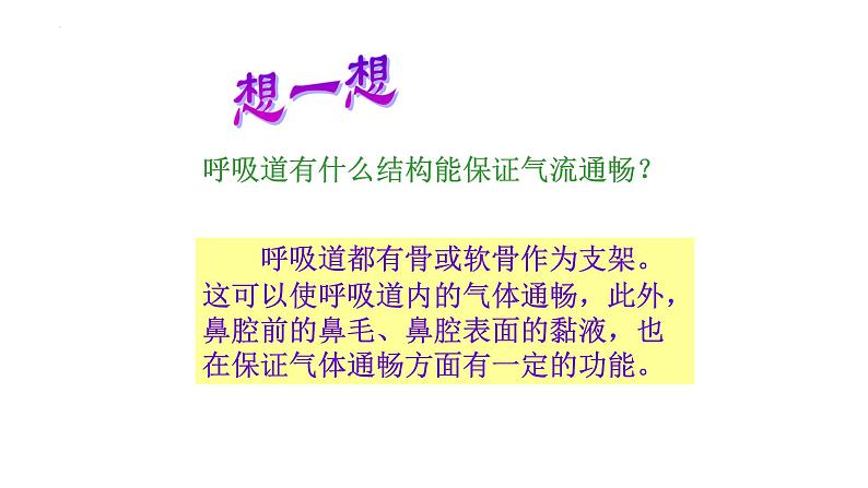 4.3.1呼吸道对空气的处理课件2023--2024学年人教版生物七年级下册第7页