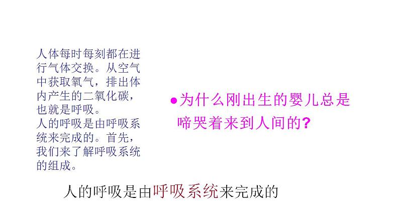 4.3.1呼吸道对空气的处理课件2023--2024学年人教版生物七年级下册 (2)第4页