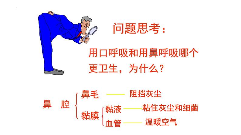 4.3.1呼吸道对空气的处理课件2023--2024学年人教版生物七年级下册 (1)第2页