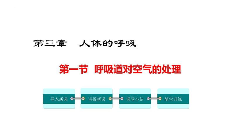 4.3.1呼吸道对空气的处理+课件2023--2024学年人教版生物七年级下册01