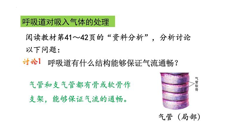 4.3.1呼吸道对空气的处理+课件2023--2024学年人教版生物七年级下册06