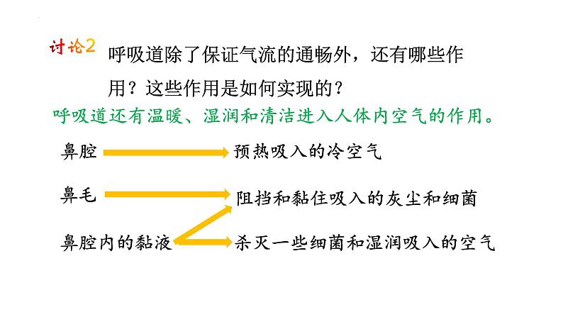 4.3.1呼吸道对空气的处理+课件2023--2024学年人教版生物七年级下册08