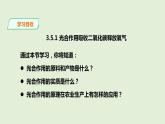 3.5.1光合作用吸收二氧化碳释放氧气课件+2023--2024学年人教版生物七年级上册