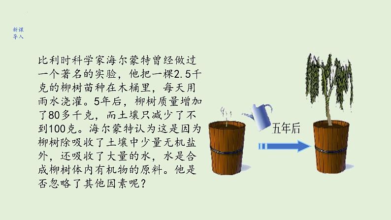 3.5.1+光合作用吸收二氧化碳释放氧气课件+2023--2024学年人教版生物七年级上册03