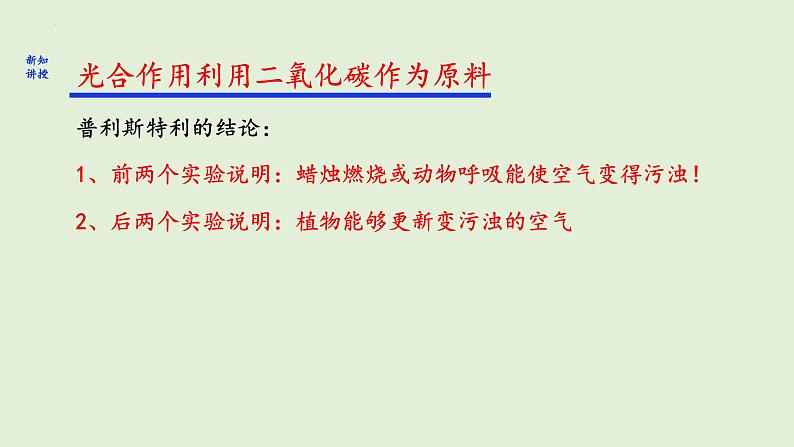 3.5.1+光合作用吸收二氧化碳释放氧气课件+2023--2024学年人教版生物七年级上册06