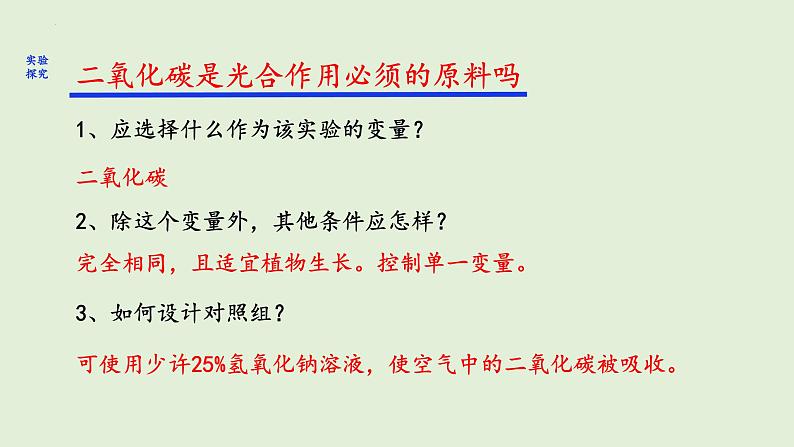 3.5.1+光合作用吸收二氧化碳释放氧气课件+2023--2024学年人教版生物七年级上册08