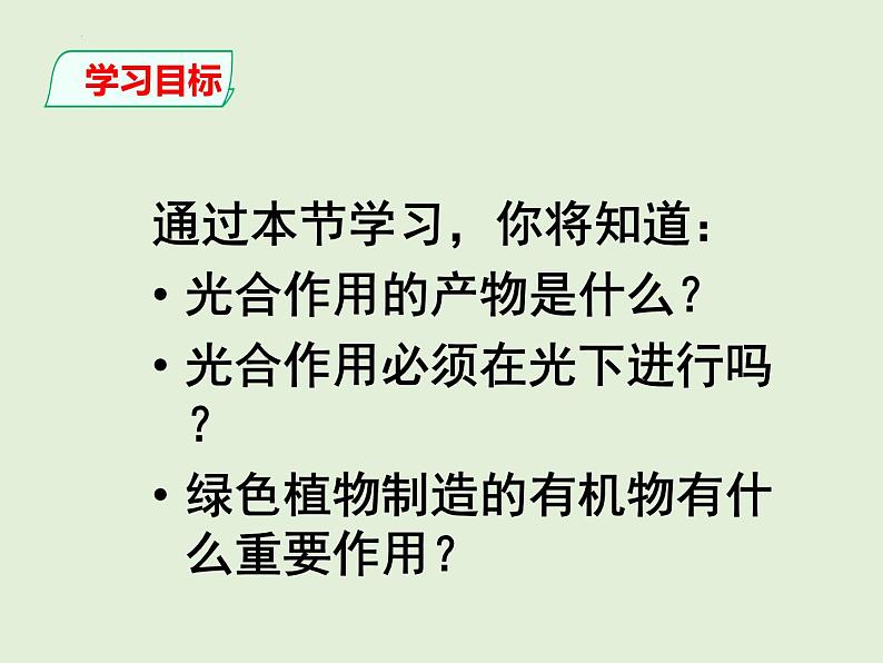 3.4+绿色植物是生物圈中有机物的制造者课件+2023~2024学年人教版生物七年级上册02