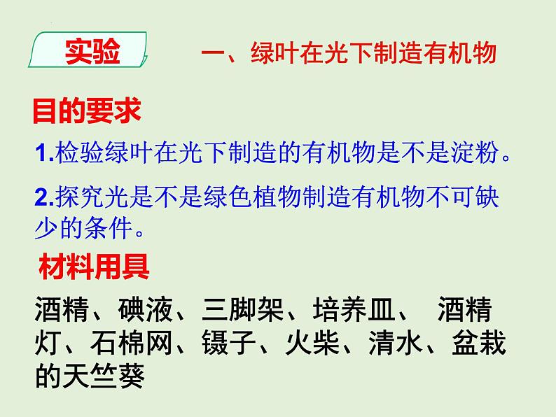 3.4+绿色植物是生物圈中有机物的制造者课件+2023~2024学年人教版生物七年级上册04