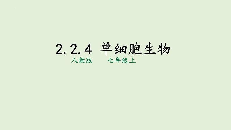 2.2.4+单细胞生物课件+2023~2024学年人教版生物七年级上册第1页