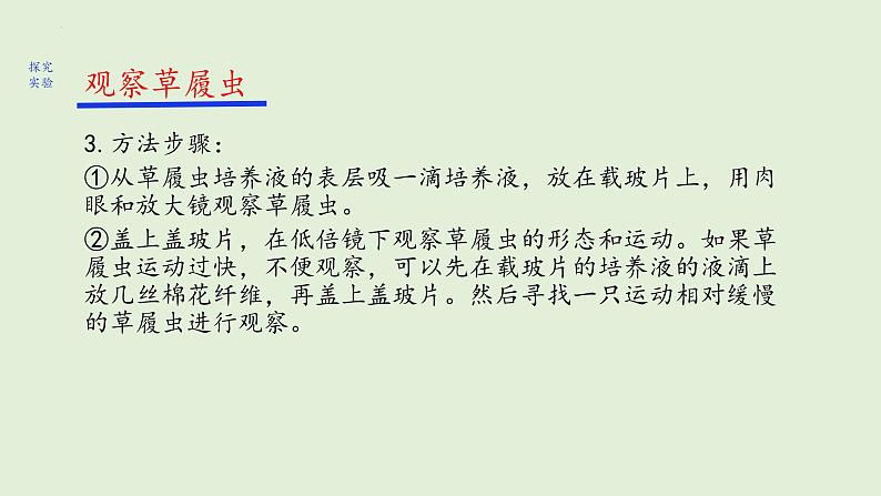 2.2.4+单细胞生物课件+2023~2024学年人教版生物七年级上册第8页