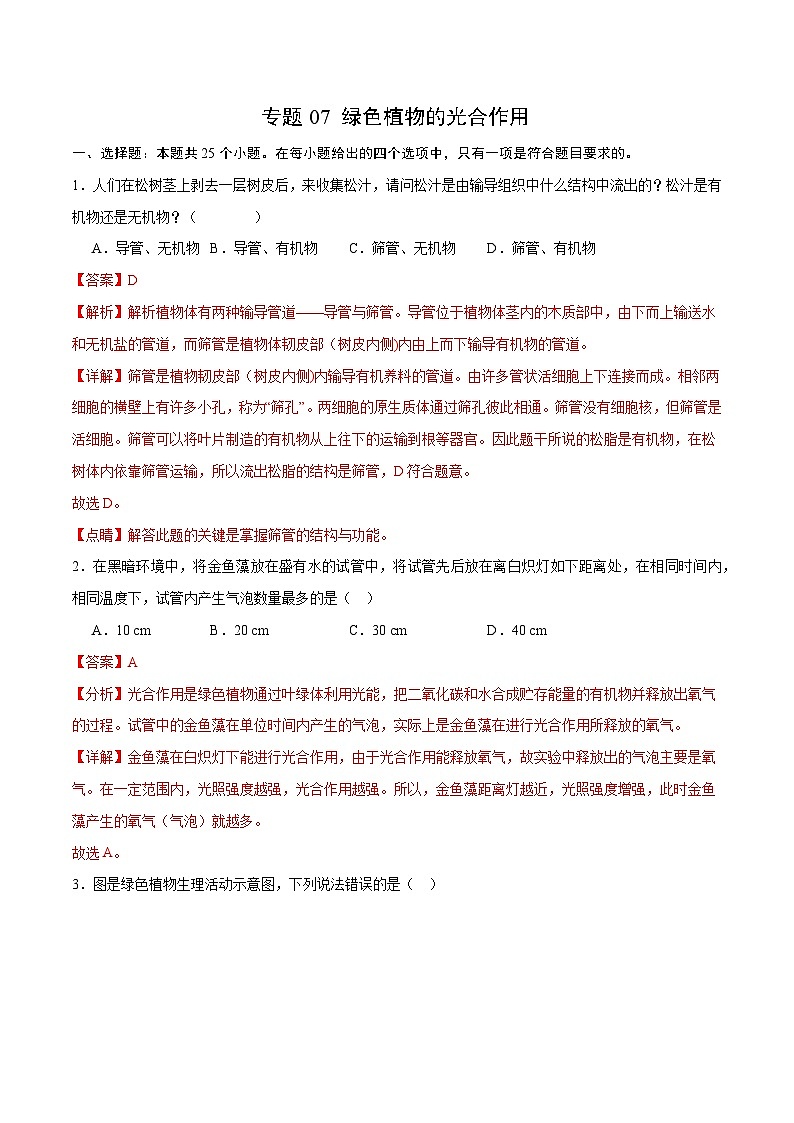 专题07 绿色植物的光合作用（解析版）第1页