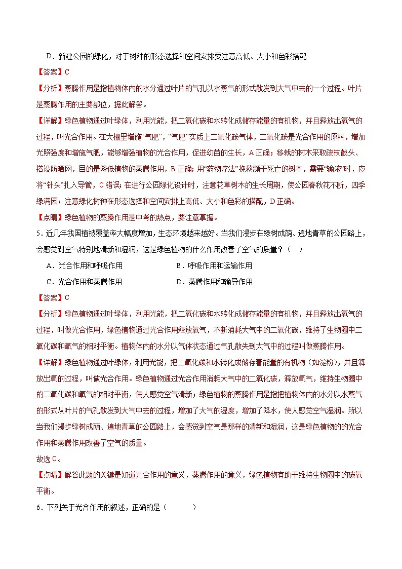 专题07 绿色植物的光合作用（解析版）第3页