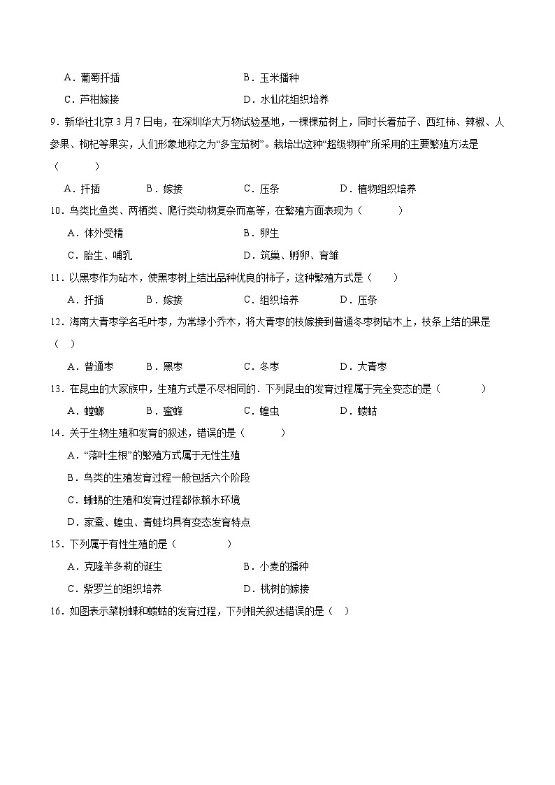 专题20 生物的生殖和发育- 2024年中考生物一轮复习热点专题精练02
