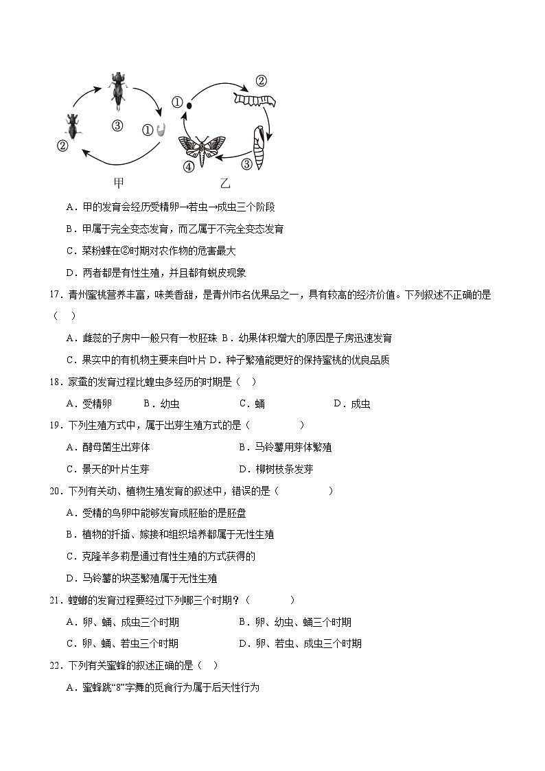 专题20 生物的生殖和发育- 2024年中考生物一轮复习热点专题精练03