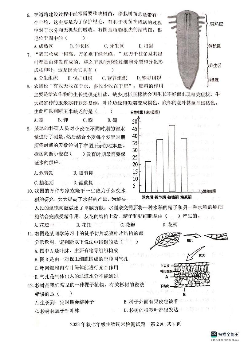 湖北省武汉市黄陂区2023-2024学年七年级上学期期末生物学试题第2页