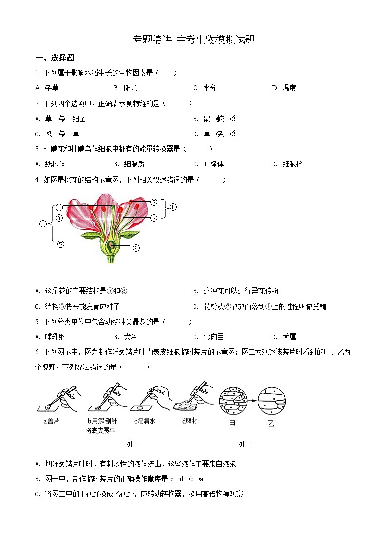 精品解析：2022年湖南省邵阳市中考生物真题（原卷版）第1页