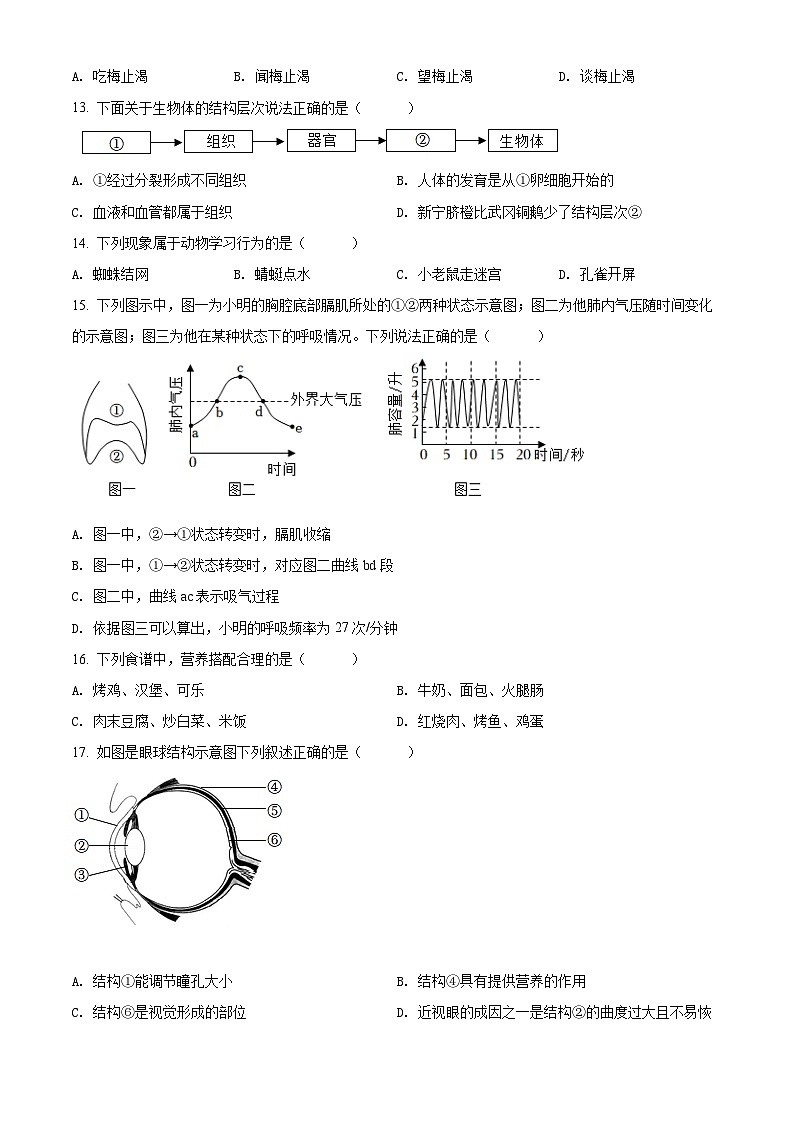 精品解析：2022年湖南省邵阳市中考生物真题（原卷版）第3页