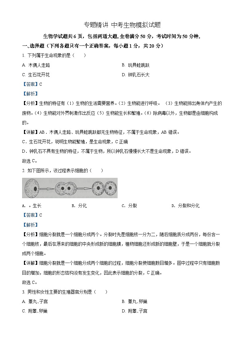 精品解析：2022年吉林省大安市中考生物真题（解析版）第1页
