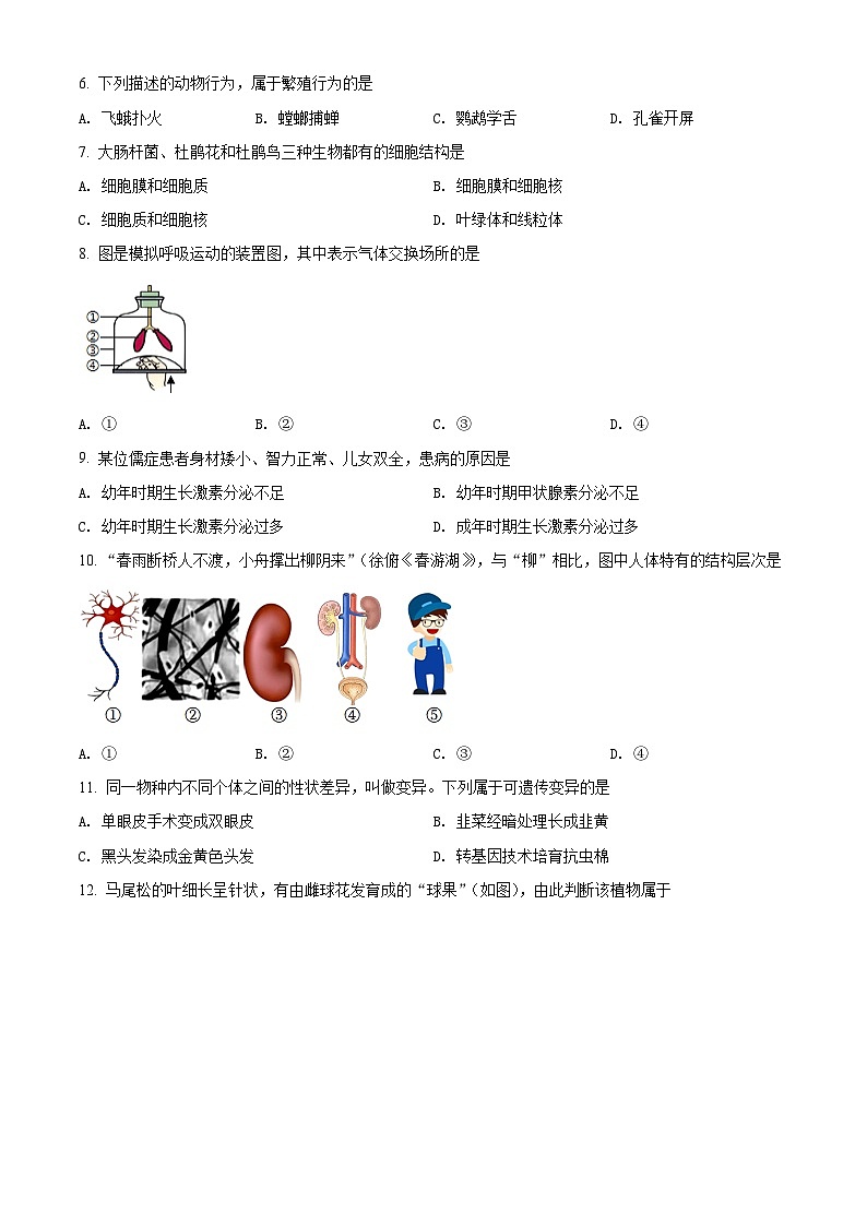 精品解析：2022年江苏省泰州市中考生物真题（原卷版）第2页