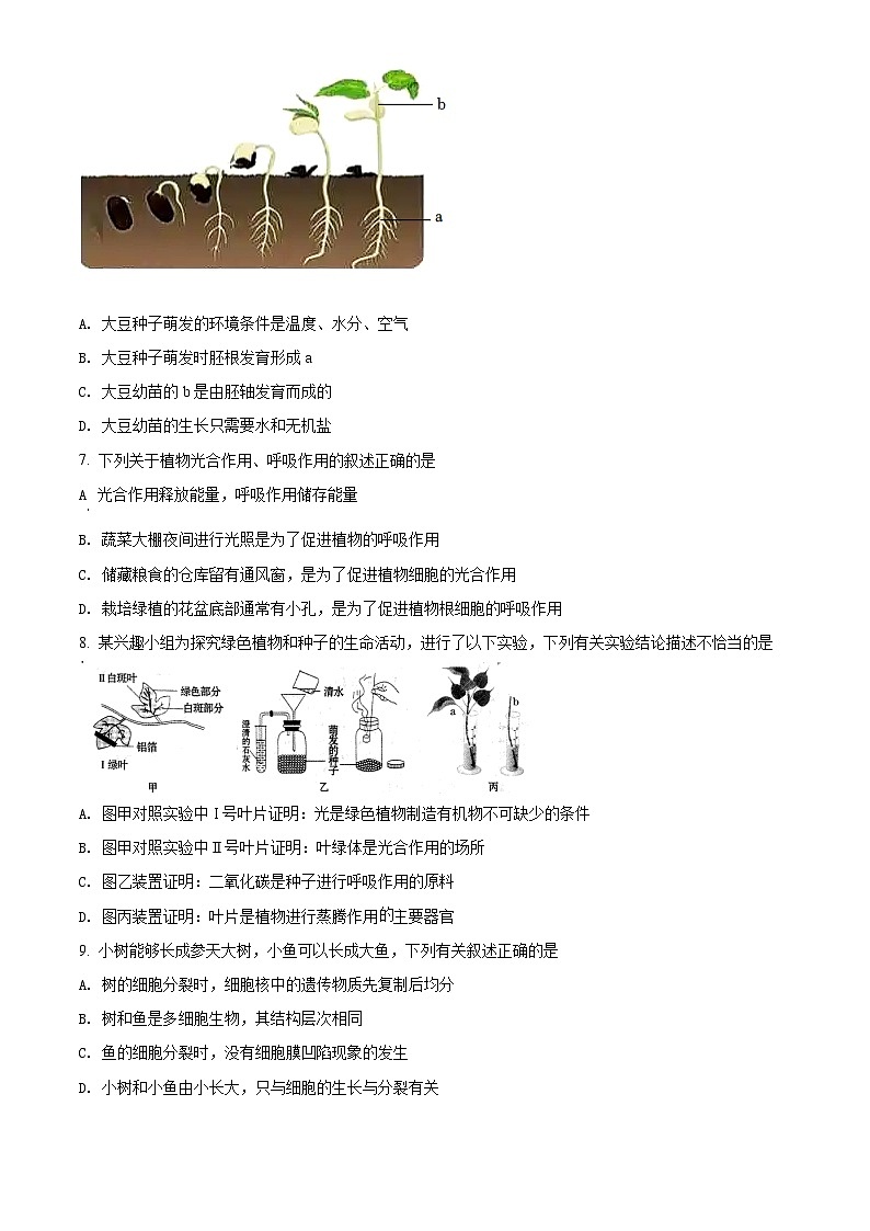 精品解析：2022年内蒙古赤峰市中考生物真题（原卷版）第2页