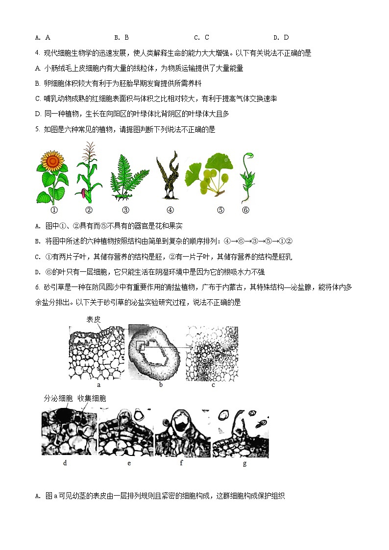 精品解析：2022年内蒙古呼和浩特市中考生物真题（原卷版）第2页