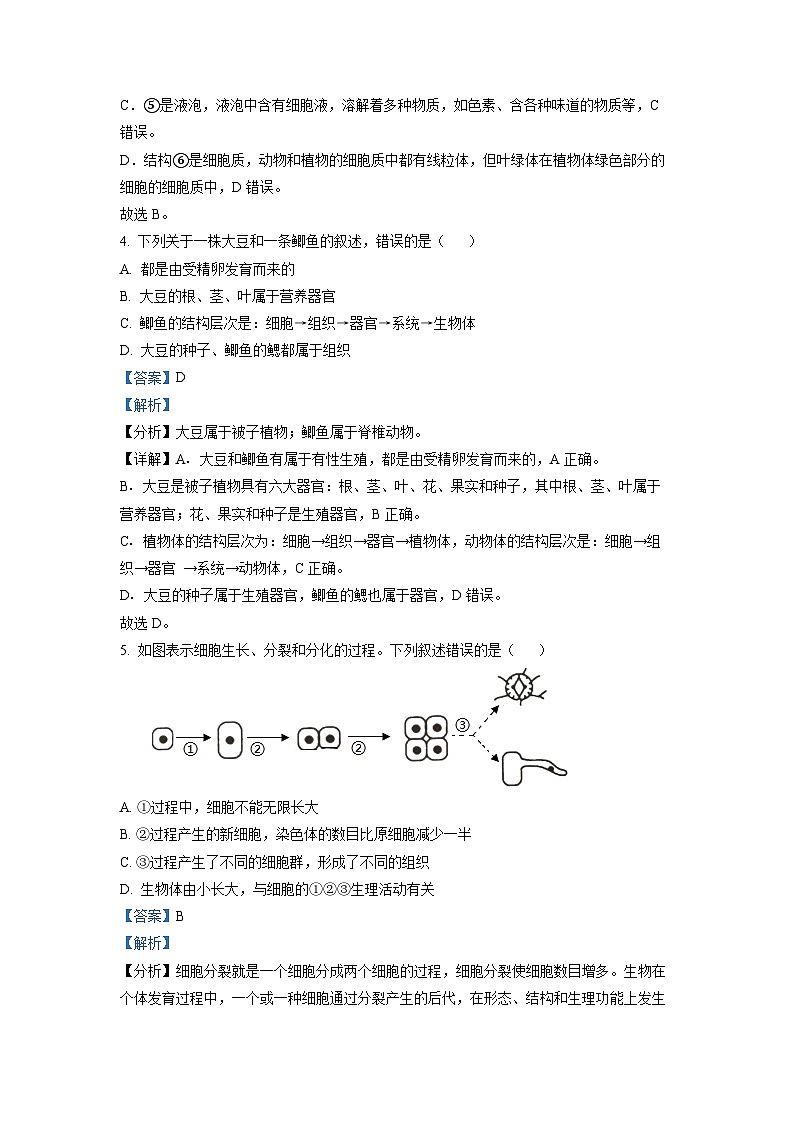 精品解析：2022年山东省临沂市中考生物真题（解析版）第3页