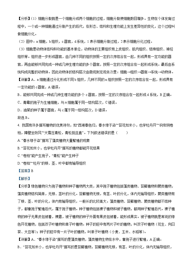 精品解析：2022年山东省泰安市中考生物真题（解析版）第3页