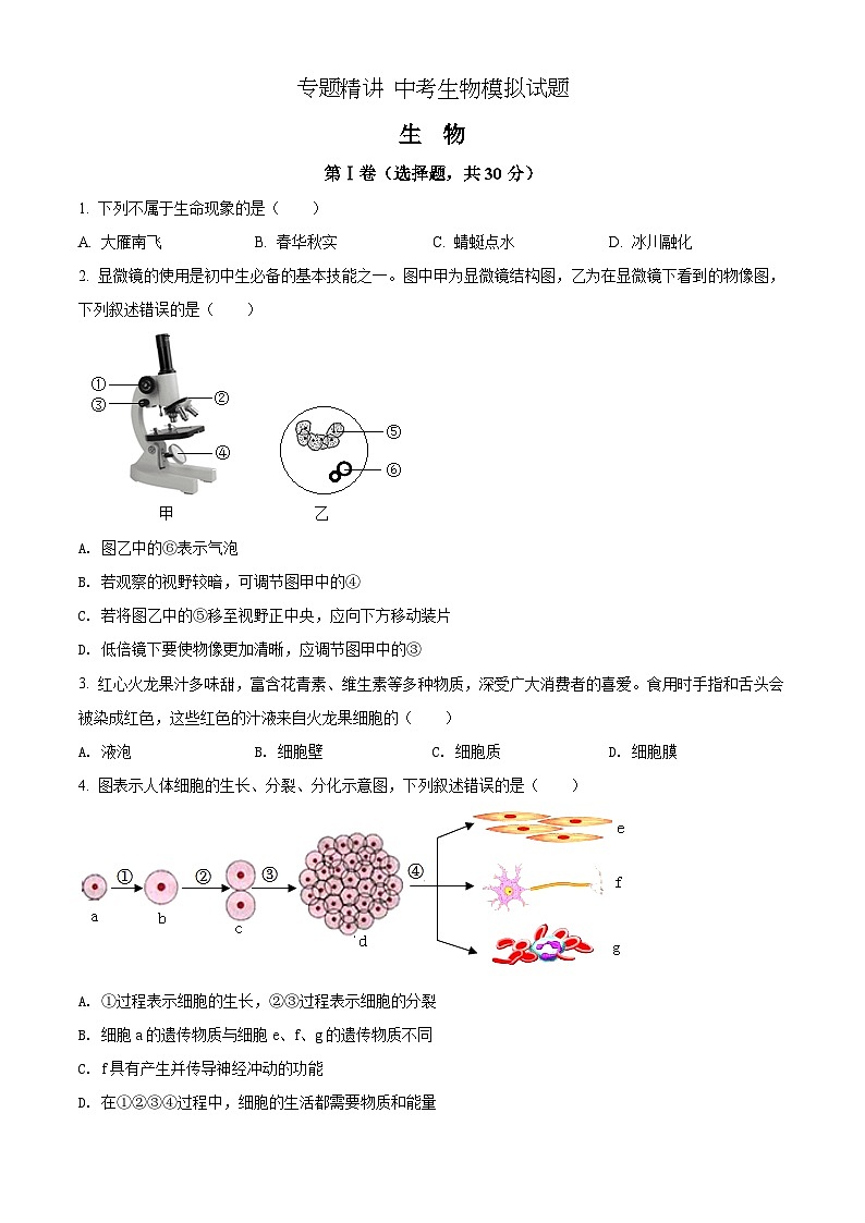 精品解析：2022年广西贺州市中考生物真题（原卷版）第1页