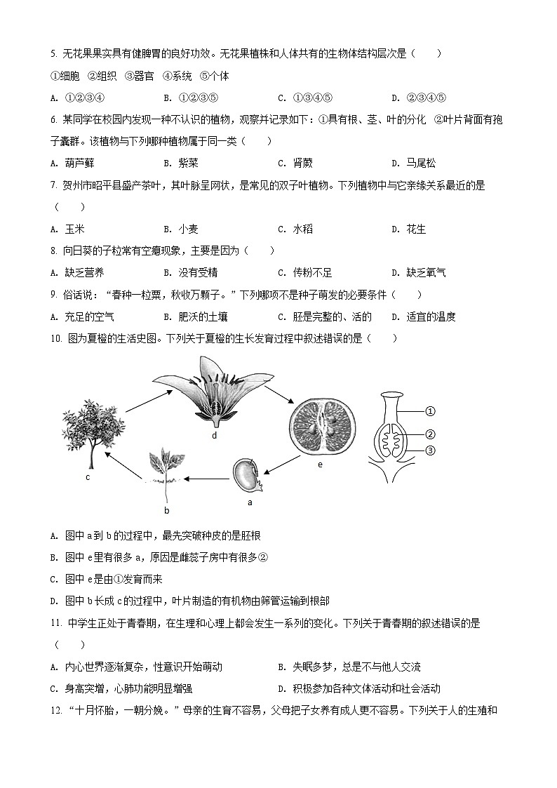 精品解析：2022年广西贺州市中考生物真题（原卷版）第2页