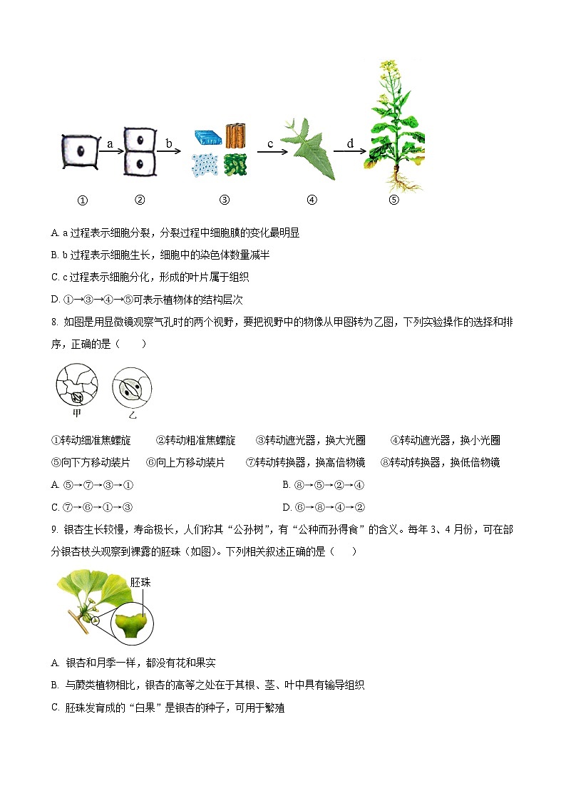 山东省东营市广饶县乐安街道乐安中学2023-2024学年八年级下学期3月月考生物试题（原卷版+解析版）03