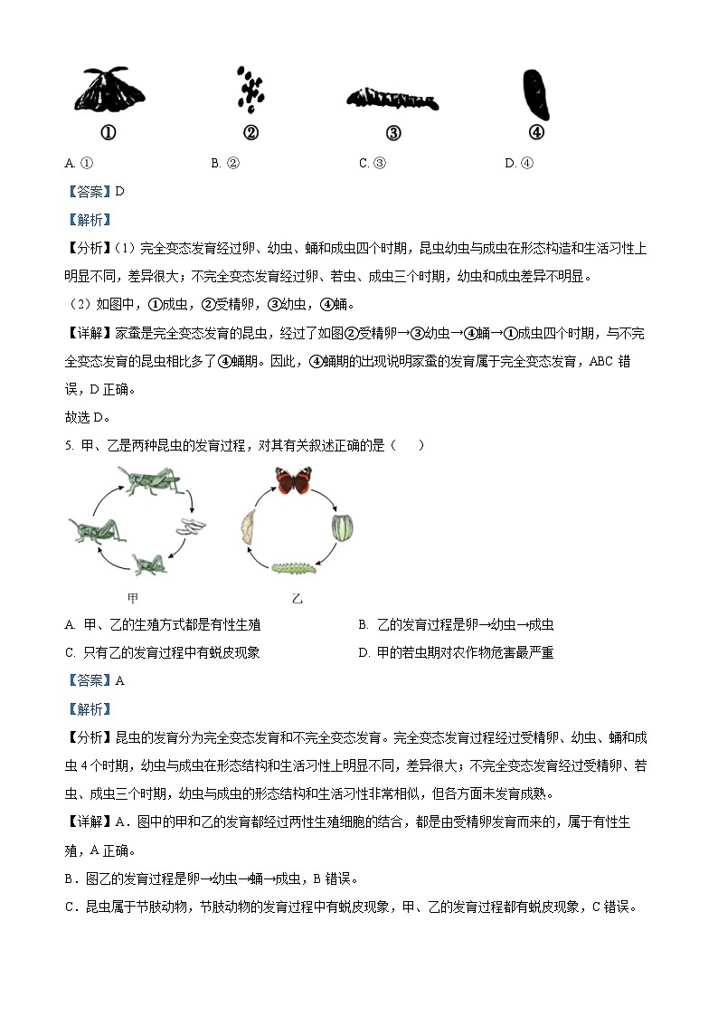 河北省邢台市英华教育集团2023-2024学年八年级3月月考生物试题（解析版）第3页