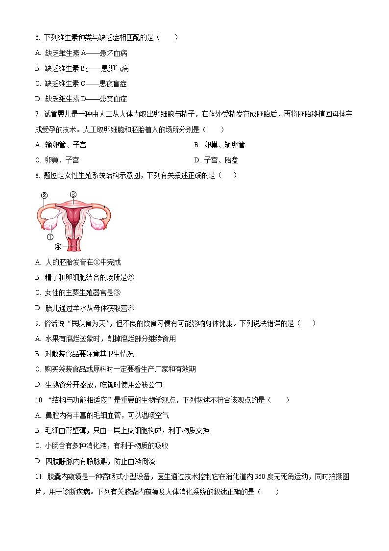 贵州省贵阳市乌当区新天学校2023-2024学年七年级下学期下学期3月月考生物试题（原卷版+解析版）02