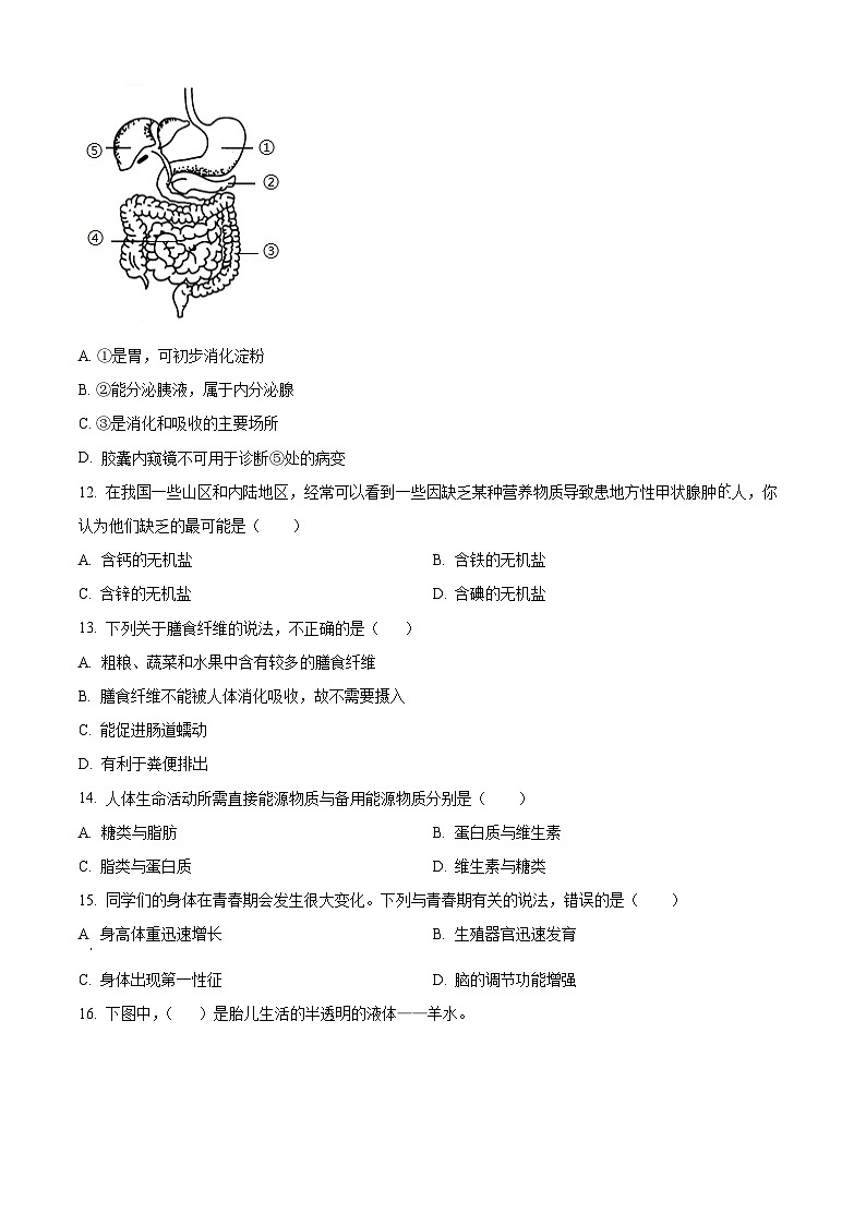 贵州省贵阳市乌当区新天学校2023-2024学年七年级下学期下学期3月月考生物试题（原卷版+解析版）03