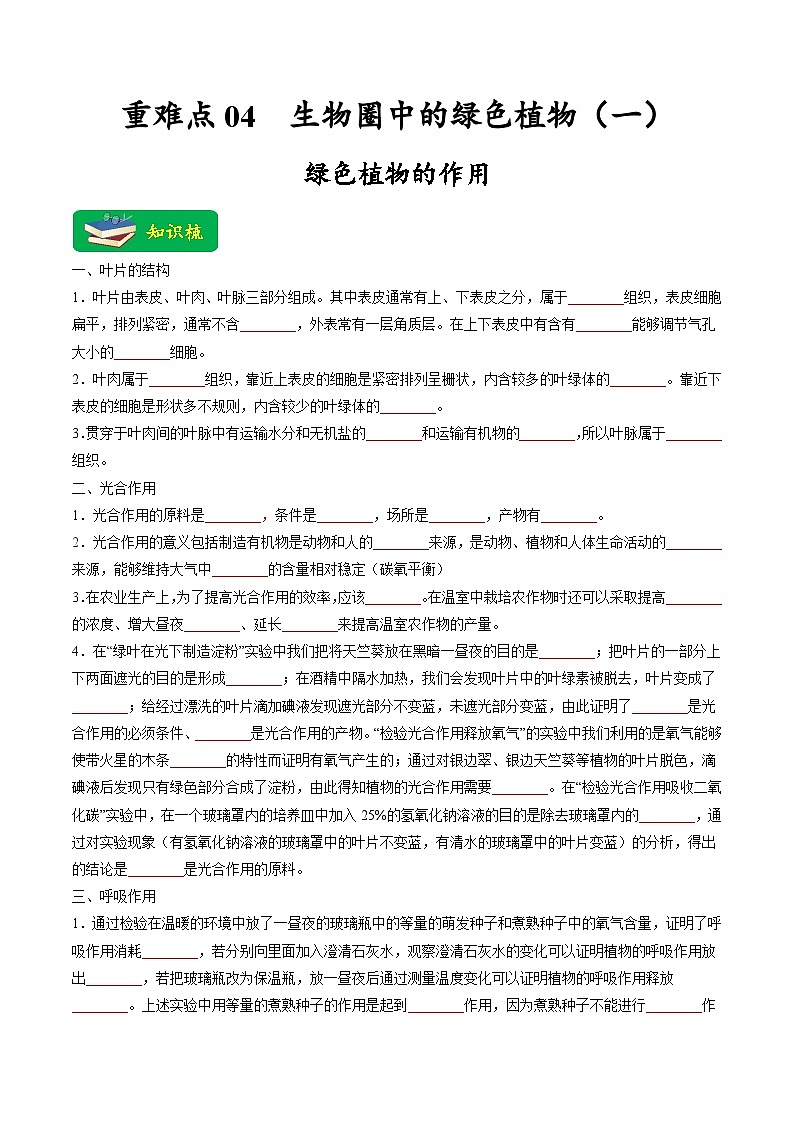 重难点04 生物圈中的绿色植物（一）-2023年中考生物【热点·重点·难点】专练（全国通用）（原卷版）第1页