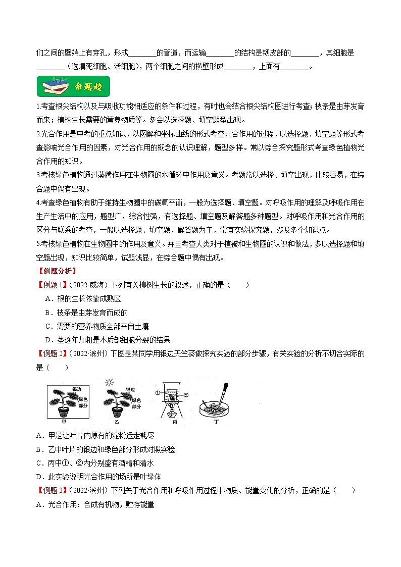重难点04 生物圈中的绿色植物（一）-2023年中考生物【热点·重点·难点】专练（全国通用）（原卷版）第3页