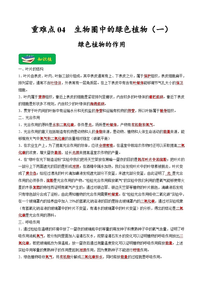 重难点04 生物圈中的绿色植物（一）-2023年中考生物【热点·重点·难点】专练（全国通用）（解析版）第1页