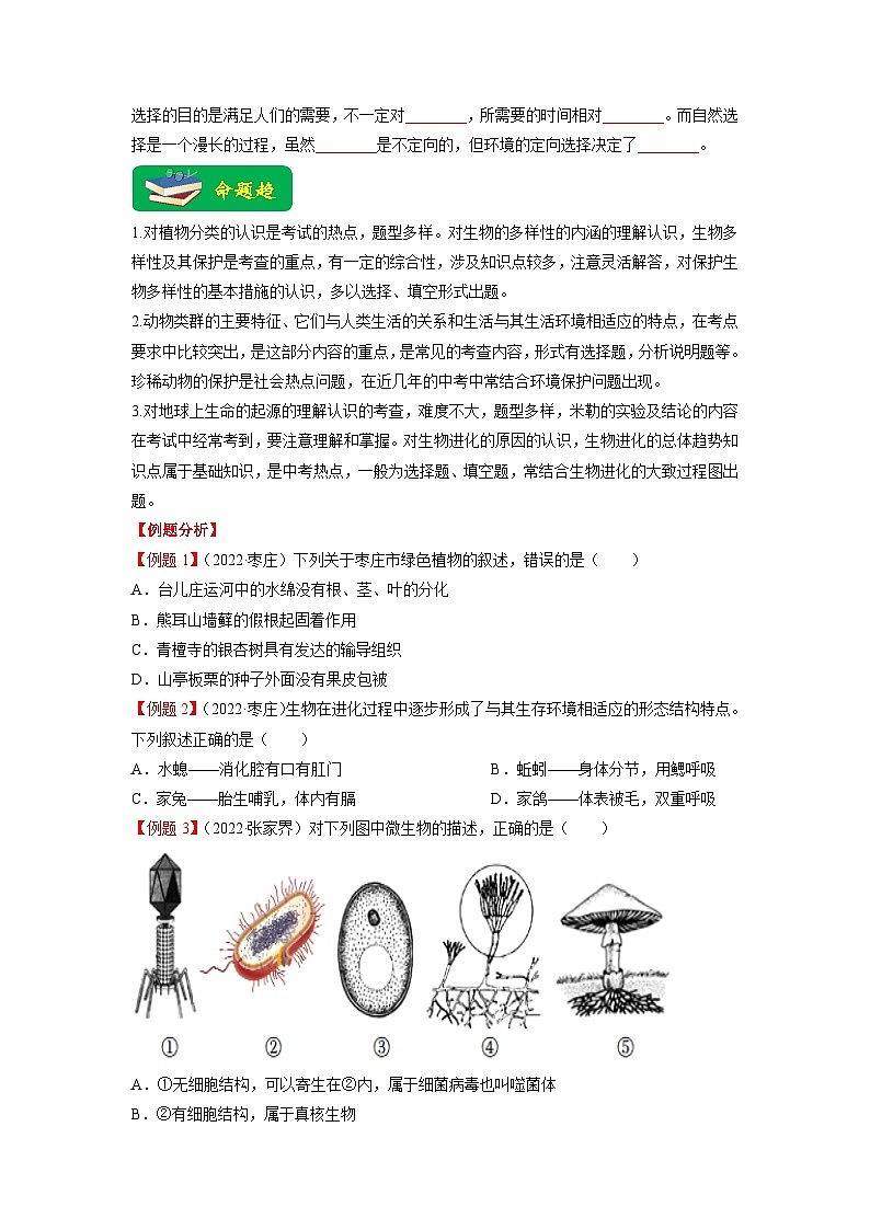 重难点08 生物的多样性 -2023年中考生物【热点·重点·难点】专练（全国通用）（原卷版）第3页