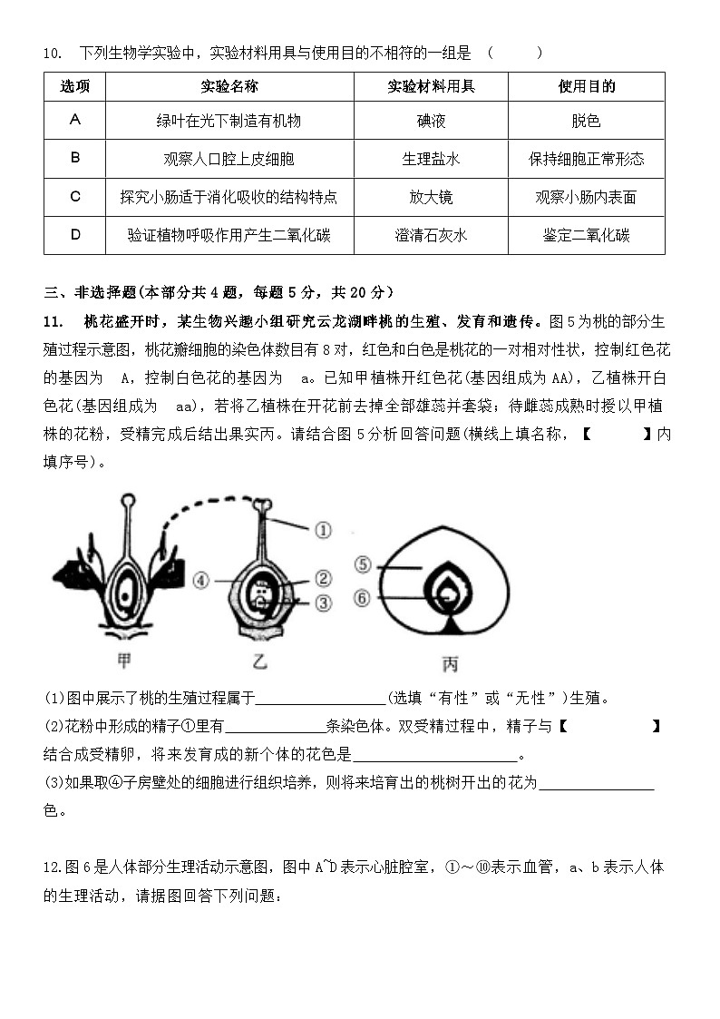 2024年江苏省徐州市中考生物仿真试卷02第3页