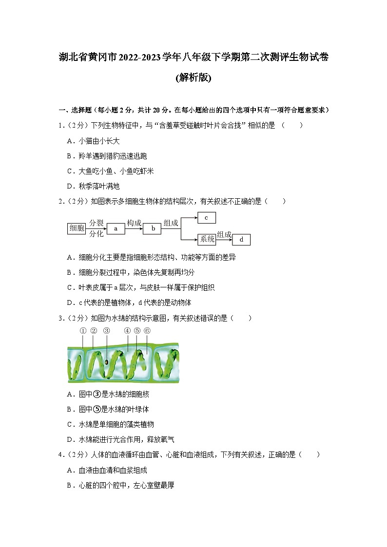 湖北省黄冈市2022-2023学年八年级下学期第二次测评生物试卷第1页