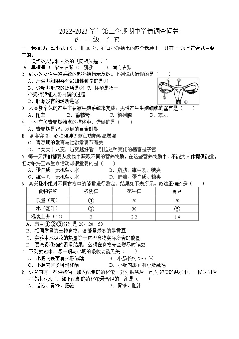 广东省深圳市宝安部分学校2022-2023学年七年级下学期期中考试生物试题01