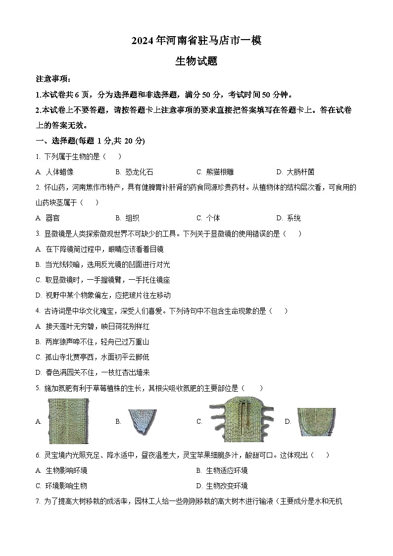 2024年河南省驻马店市中考一模生物试题（原卷版+解析版）01