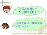 北师大版生物七年级下册 人体产生的代谢废物（课件）